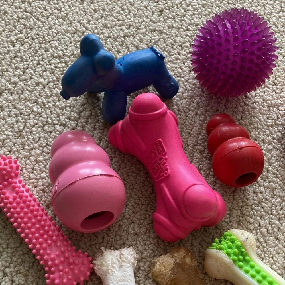 Dog Toy Bundle 18 Count Squeaker Chew Play For Medium Dogs 25 Pounds+ EUC